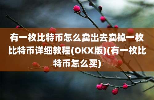 有一枚比特币怎么卖出去卖掉一枚比特币详细教程(OKX版)(有一枚比特币怎么买)