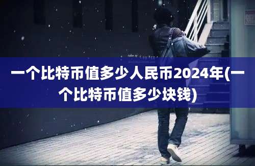 一个比特币值多少人民币2024年(一个比特币值多少块钱)