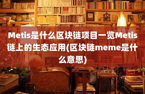 Metis是什么区块链项目一览Metis链上的生态应用(区块链meme是什么意思)