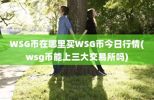 WSG币在哪里买WSG币今日行情(wsg币能上三大交易所吗)