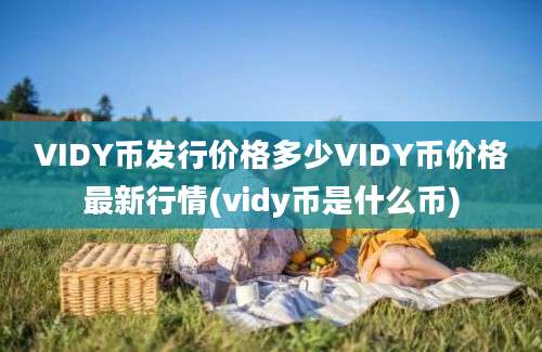 VIDY币发行价格多少VIDY币价格最新行情(vidy币是什么币)