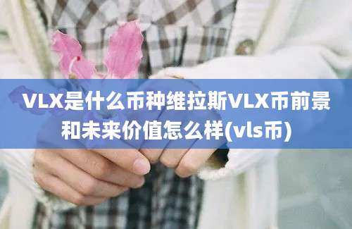 VLX是什么币种维拉斯VLX币前景和未来价值怎么样(vls币)