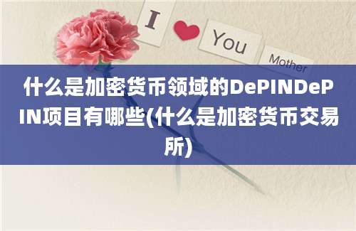 什么是加密货币领域的DePINDePIN项目有哪些(什么是加密货币交易所)