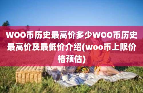 WOO币历史最高价多少WOO币历史最高价及最低价介绍(woo币上限价格预估)