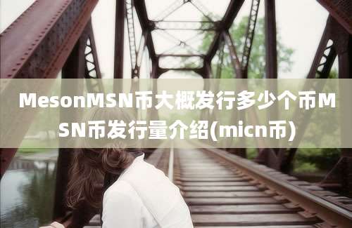 MesonMSN币大概发行多少个币MSN币发行量介绍(micn币)