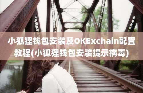 小狐狸钱包安装及OKExchain配置教程(小狐狸钱包安装提示病毒)