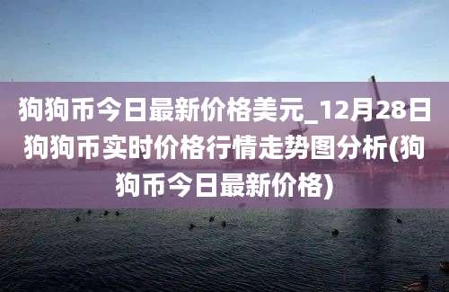 狗狗币今日最新价格美元_12月28日狗狗币实时价格行情走势图分析(狗狗币今日最新价格)