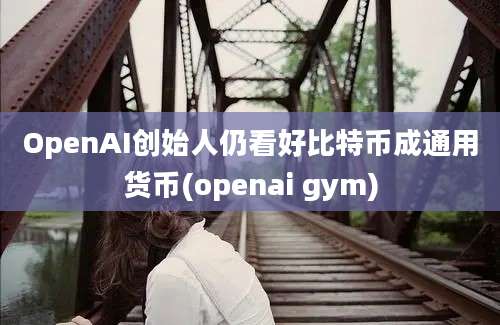 OpenAI创始人仍看好比特币成通用货币(openai gym)