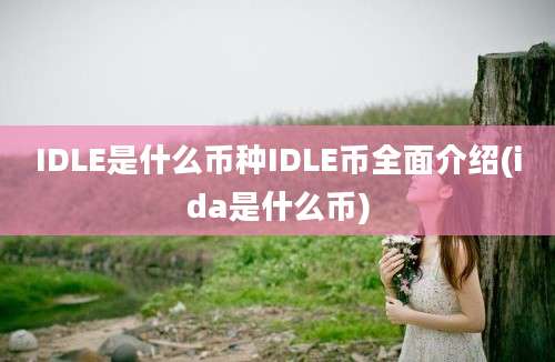 IDLE是什么币种IDLE币全面介绍(ida是什么币)