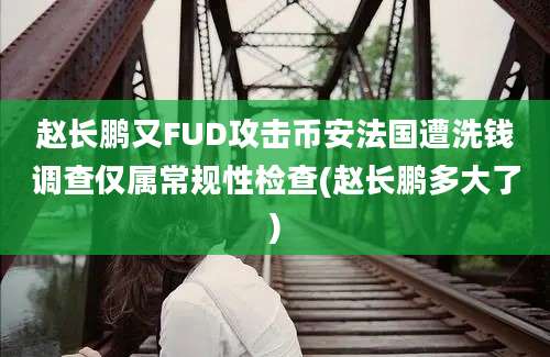 赵长鹏又FUD攻击币安法国遭洗钱调查仅属常规性检查(赵长鹏多大了)