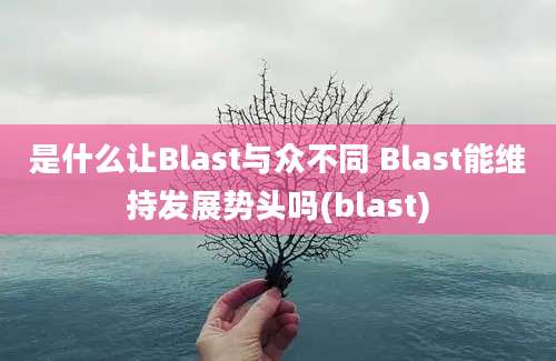 是什么让Blast与众不同 Blast能维持发展势头吗(blast)