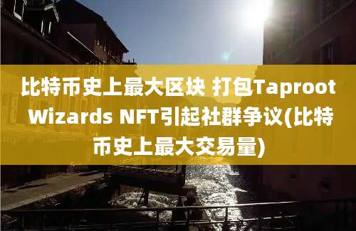 比特币史上最大区块 打包Taproot Wizards NFT引起社群争议(比特币史上最大交易量)