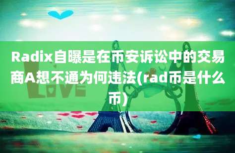 Radix自曝是在币安诉讼中的交易商A想不通为何违法(rad币是什么币)