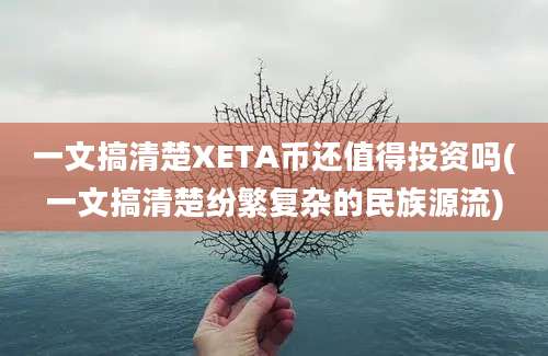 一文搞清楚XETA币还值得投资吗(一文搞清楚纷繁复杂的民族源流)