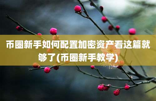 币圈新手如何配置加密资产看这篇就够了(币圈新手教学)