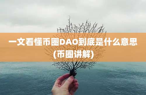 一文看懂币圈DAO到底是什么意思(币圈讲解)