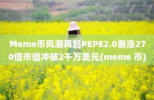 Meme币风潮再起PEPE2.0暴涨270倍市值冲破2千万美元(meme 币)