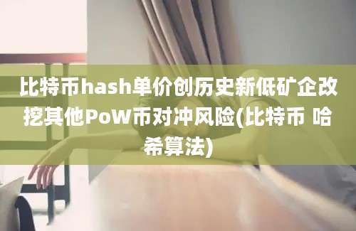 比特币hash单价创历史新低矿企改挖其他PoW币对冲风险(比特币 哈希算法)