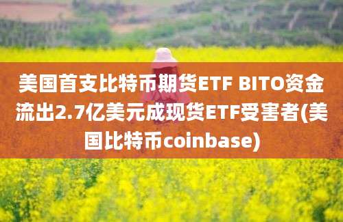 美国首支比特币期货ETF BITO资金流出2.7亿美元成现货ETF受害者(美国比特币coinbase)