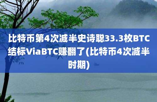 比特币第4次减半史诗聪33.3枚BTC结标ViaBTC赚翻了(比特币4次减半时期)