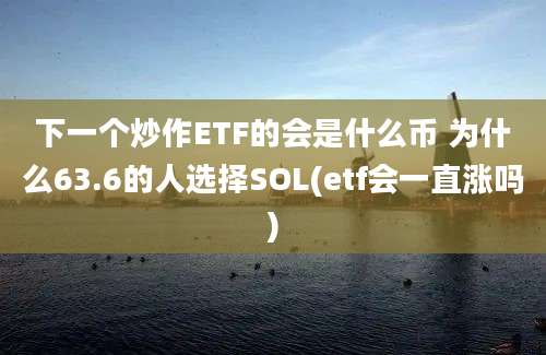 下一个炒作ETF的会是什么币 为什么63.6的人选择SOL(etf会一直涨吗)