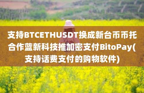 支持BTCETHUSDT换成新台币币托合作蓝新科技推加密支付BitoPay(支持话费支付的购物软件)