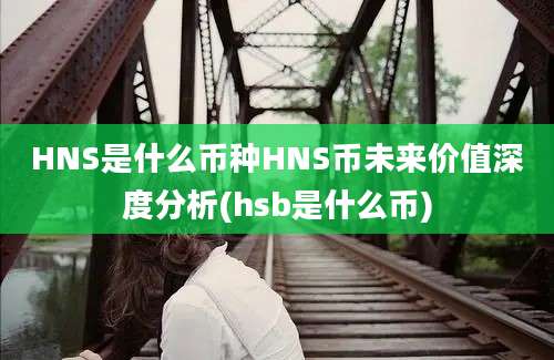 HNS是什么币种HNS币未来价值深度分析(hsb是什么币)