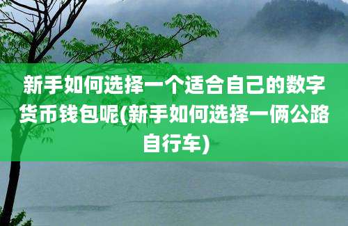 新手如何选择一个适合自己的数字货币钱包呢(新手如何选择一俩公路自行车)