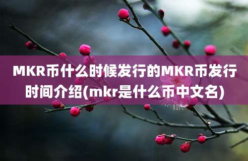 MKR币什么时候发行的MKR币发行时间介绍(mkr是什么币中文名)