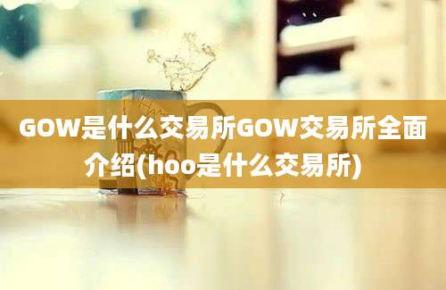 GOW是什么交易所GOW交易所全面介绍(hoo是什么交易所)