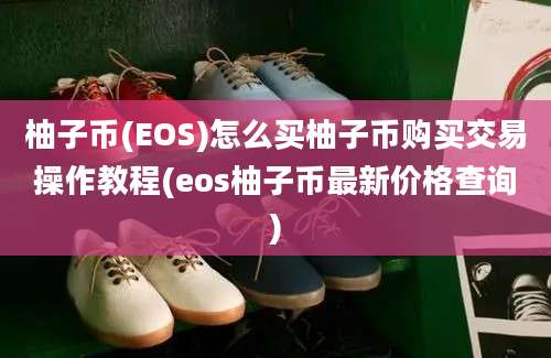 柚子币(EOS)怎么买柚子币购买交易操作教程(eos柚子币最新价格查询)