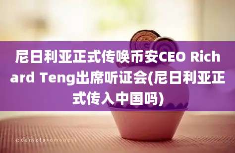 尼日利亚正式传唤币安CEO Richard Teng出席听证会(尼日利亚正式传入中国吗)