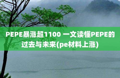 PEPE暴涨超1100 一文读懂PEPE的过去与未来(pe材料上涨)