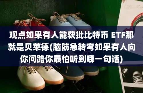 观点如果有人能获批比特币 ETF那就是贝莱德(脑筋急转弯如果有人向你问路你最怕听到哪一句话)