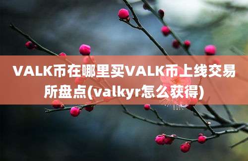 VALK币在哪里买VALK币上线交易所盘点(valkyr怎么获得)