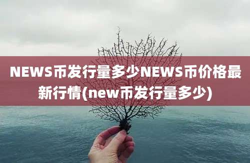 NEWS币发行量多少NEWS币价格最新行情(new币发行量多少)