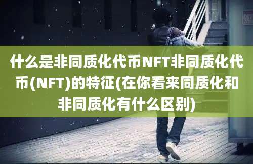 什么是非同质化代币NFT非同质化代币(NFT)的特征(在你看来同质化和非同质化有什么区别)