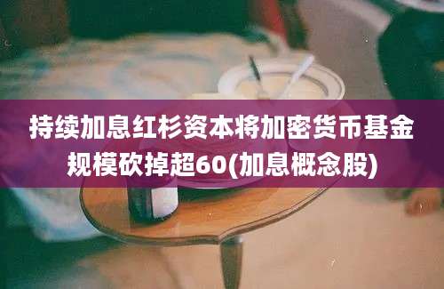 持续加息红杉资本将加密货币基金规模砍掉超60(加息概念股)