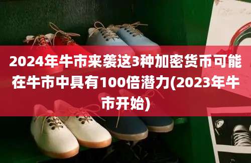 2024年牛市来袭这3种加密货币可能在牛市中具有100倍潜力(2023年牛市开始)