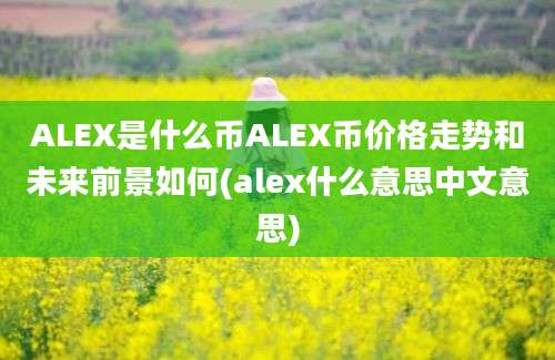 ALEX是什么币ALEX币价格走势和未来前景如何(alex什么意思中文意思)