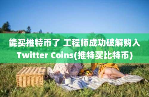 能买推特币了 工程师成功破解购入Twitter Coins(推特买比特币)