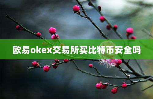 欧易okex交易所买比特币安全吗