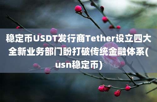 稳定币USDT发行商Tether设立四大全新业务部门盼打破传统金融体系(usn稳定币)