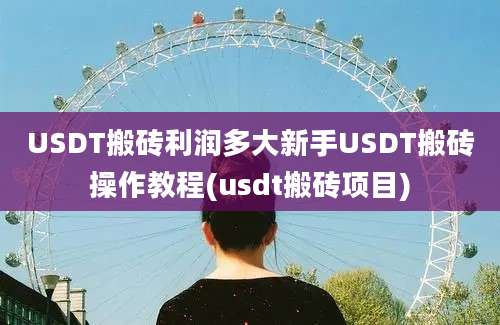 USDT搬砖利润多大新手USDT搬砖操作教程(usdt搬砖项目)