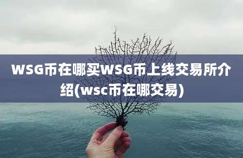 WSG币在哪买WSG币上线交易所介绍(wsc币在哪交易)