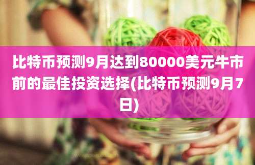 比特币预测9月达到80000美元牛市前的最佳投资选择(比特币预测9月7日)