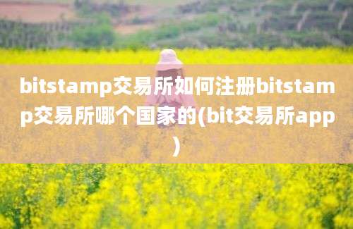 bitstamp交易所如何注册bitstamp交易所哪个国家的(bit交易所app)