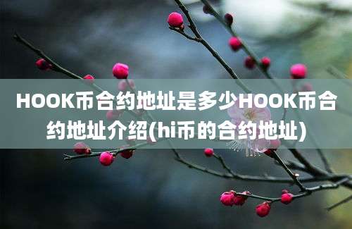 HOOK币合约地址是多少HOOK币合约地址介绍(hi币的合约地址)