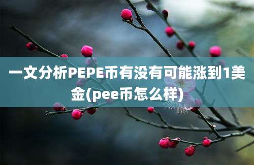 一文分析PEPE币有没有可能涨到1美金(pee币怎么样)