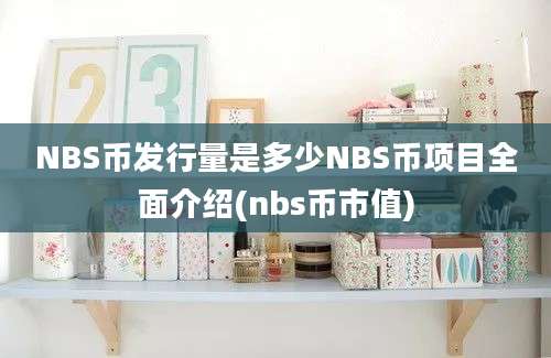 NBS币发行量是多少NBS币项目全面介绍(nbs币市值)